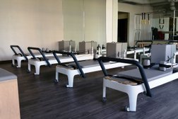 Bird Dog Pilates & Fitness in Phoenix