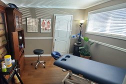 Portland Massage Therapy in Portland