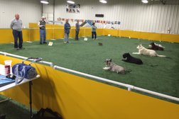Competitive Edge Agility and Dog Sports Photo