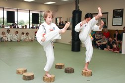 Traditional Martial Arts Academy Photo