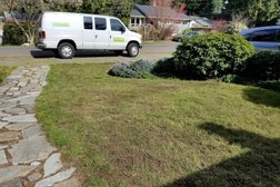 Evergreen Lawn Aeration in Seattle