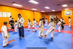 Elite Fire Taekwondo Photo