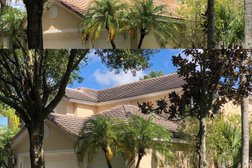 Bay to Bay Roof Cleaning in Tampa