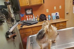 Crossroads Animal Clinic: Sherck Amanda DVM in El Paso