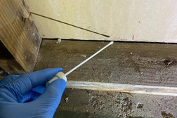 Mold Testing Services of Oregon Photo