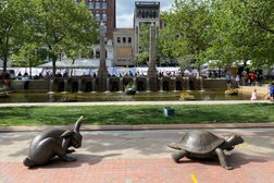 Tortoise and Hare in Boston