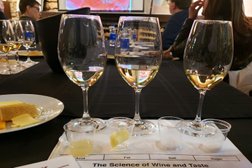Twin Cities Wine Education Photo