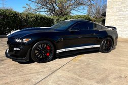 American Dent Specialists in Houston