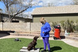 Oh, Behave! Pet Training & Behavior Solutions in Tucson