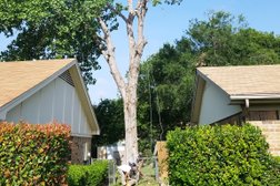 Sion tree service inc in Fort Worth
