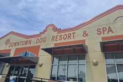 Downtown Dog Resort & Spa in Baltimore
