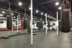 Hammer Fitness and Boxing Photo