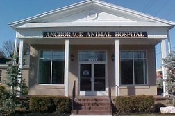 Anchorage Animal Hospital Photo