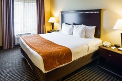 Comfort Suites in Rochester