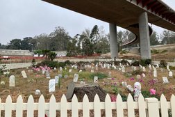 Presidio Pet Cemetery Photo