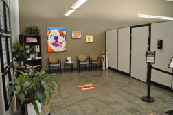Fresno Veterinary Specialty and Emergency Center in Fresno