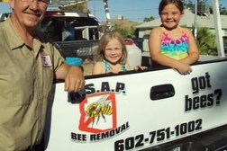 A.S.A.P. Bee Removal, LLC in Phoenix
