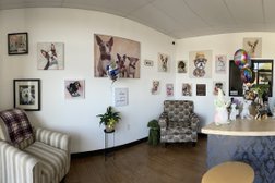Shaggy Chic Pet Grooming Boutique Photo