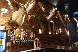 Stag PDX Photo