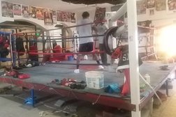 calderon hitman boxing gym in Phoenix