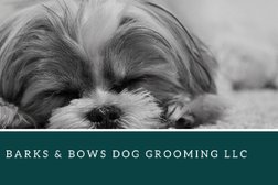 Barks & Bows Dog Grooming LLC in Oklahoma City