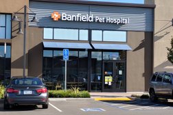 Banfield Pet Hospital in San Jose