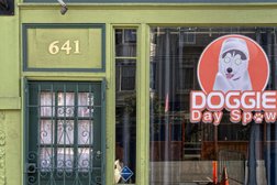 Doggie Day Spaw in San Francisco