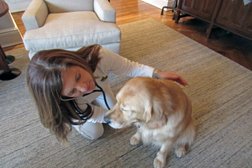 City Pets the Housecall Vets in New York City