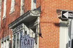 The Cat Doctor in Philadelphia