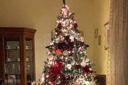 Valley View Christmas Trees Photo