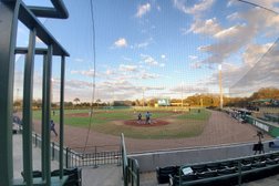 USF Baseball Stadium in Tampa
