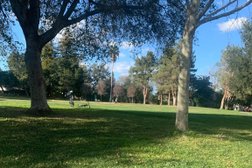 Coy Park in San Jose