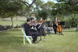 Cello Vida String Quartet in San Antonio