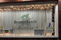 Boston Fetch Photo