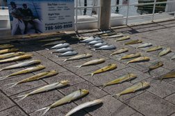 Double Threat Fishing Charters in Miami