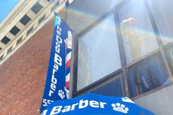 The Dog Barber in San Francisco