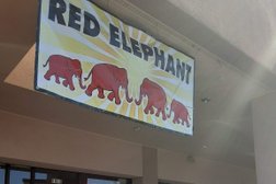 Red Elephant Photo