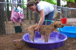 Pawfect Suds in Raleigh