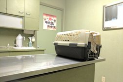Bellaire Blvd Animal Clinic in Houston