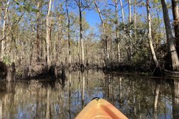 Crescent City Kayak - Swamp Tours in New Orleans