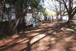 Art on the Zoo Fence in Honolulu