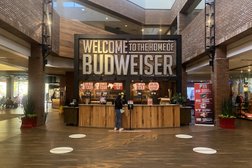 Budweiser Brewery Experience in St. Louis