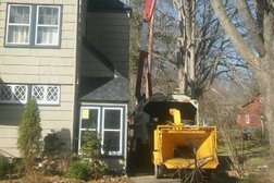 Steelee Tree Service Pittsburgh in Pittsburgh