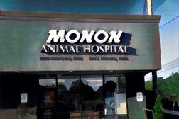 Monon Animal Hospital in Indianapolis