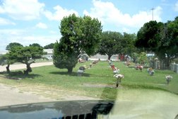 Assumption Cemetery in Austin