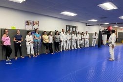 Gracie Martial Arts Tampa Jiu Jitsu and Self Defense Photo