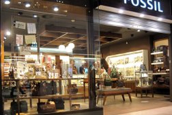Fossil Store in Columbia