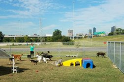 Riverside Resort for Dogs in Fort Worth
