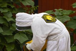 Bee Safe Bee Removal in New Orleans