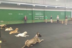 Nashville Dog Training Club Photo